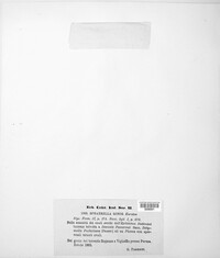 Mycosphaerella minor image